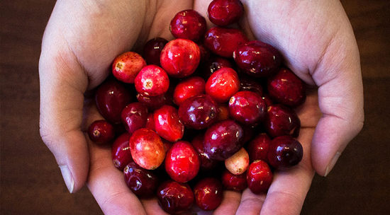 Making Cranberry Sauce