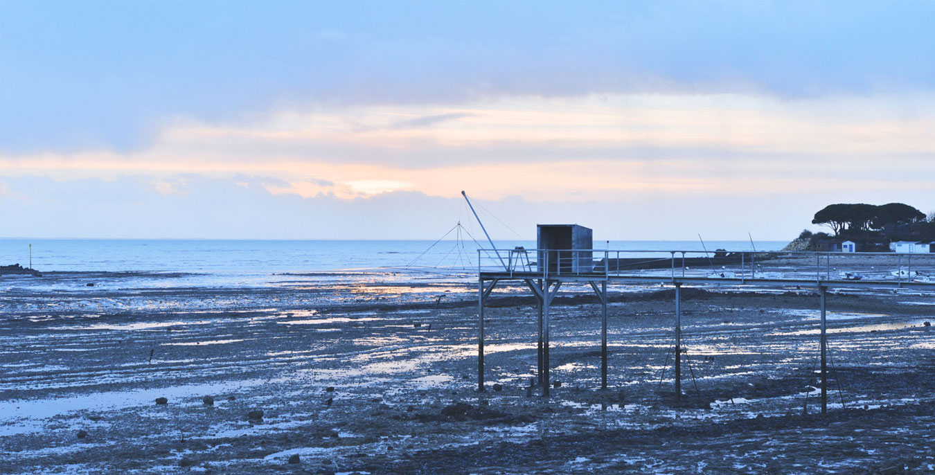 (Sea)Life On the French Coast