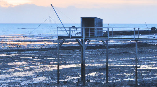 (Sea)Life On the French Coast