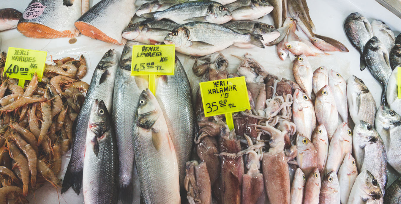 Fethiye Fish Market