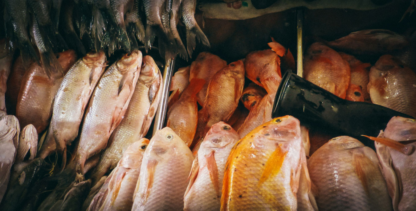 Bogota’s Paloquemao Market