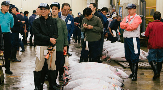 Tokyo’s Tsukiji Fish Market