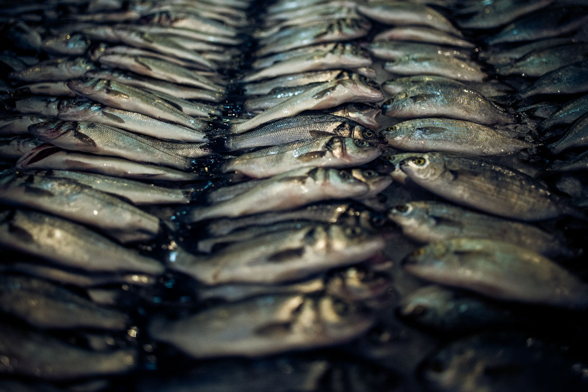 athens-central-market-9