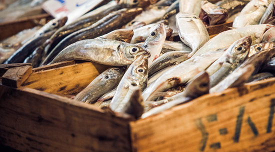 A Walk Through Athens Central Market