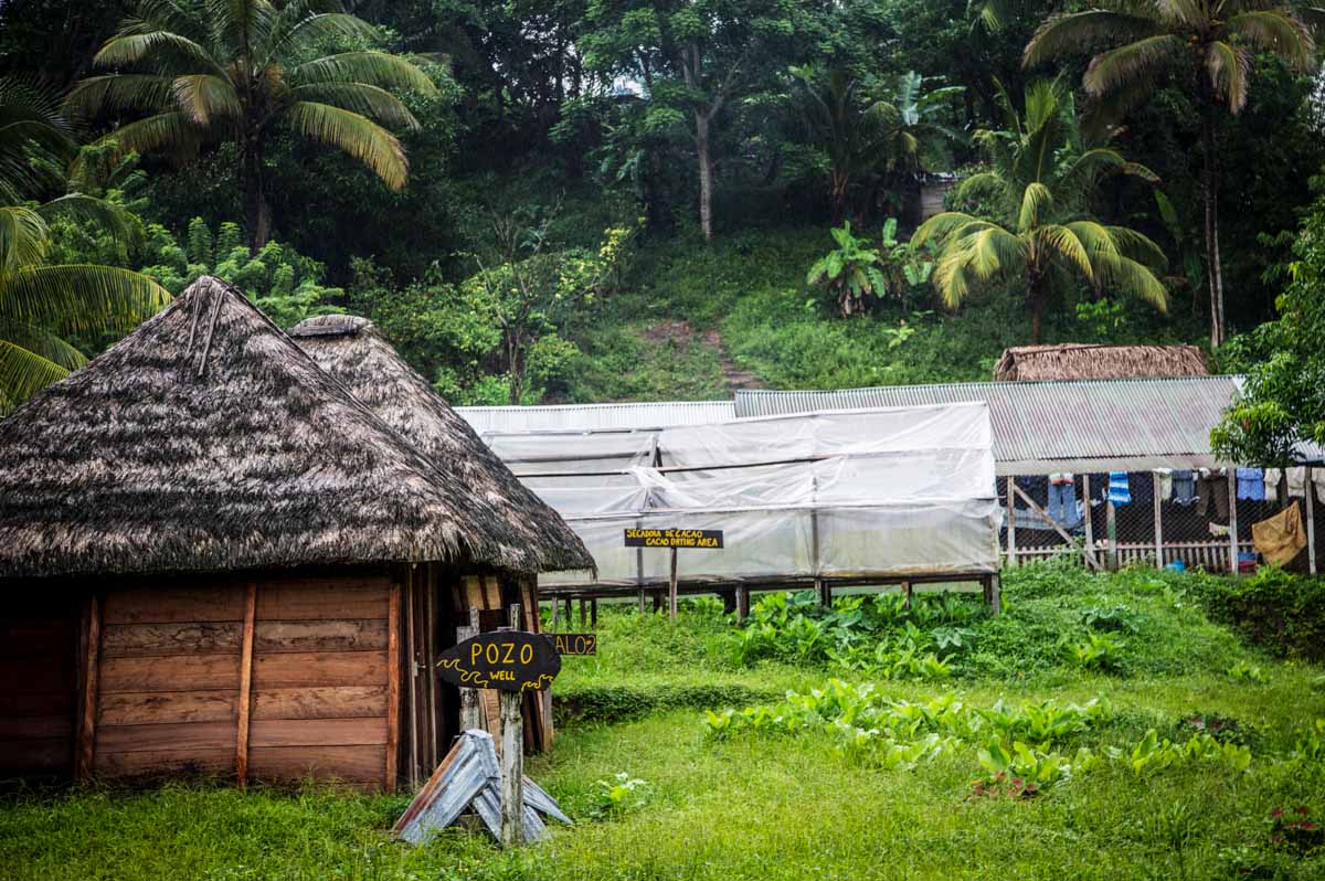 cacao-sourcing-parliament-chocolate-1