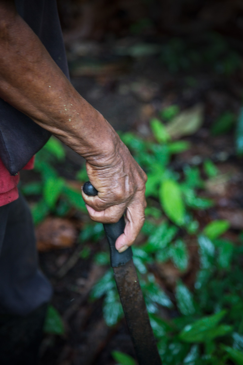 cacao-sourcing-parliament-chocolate-29