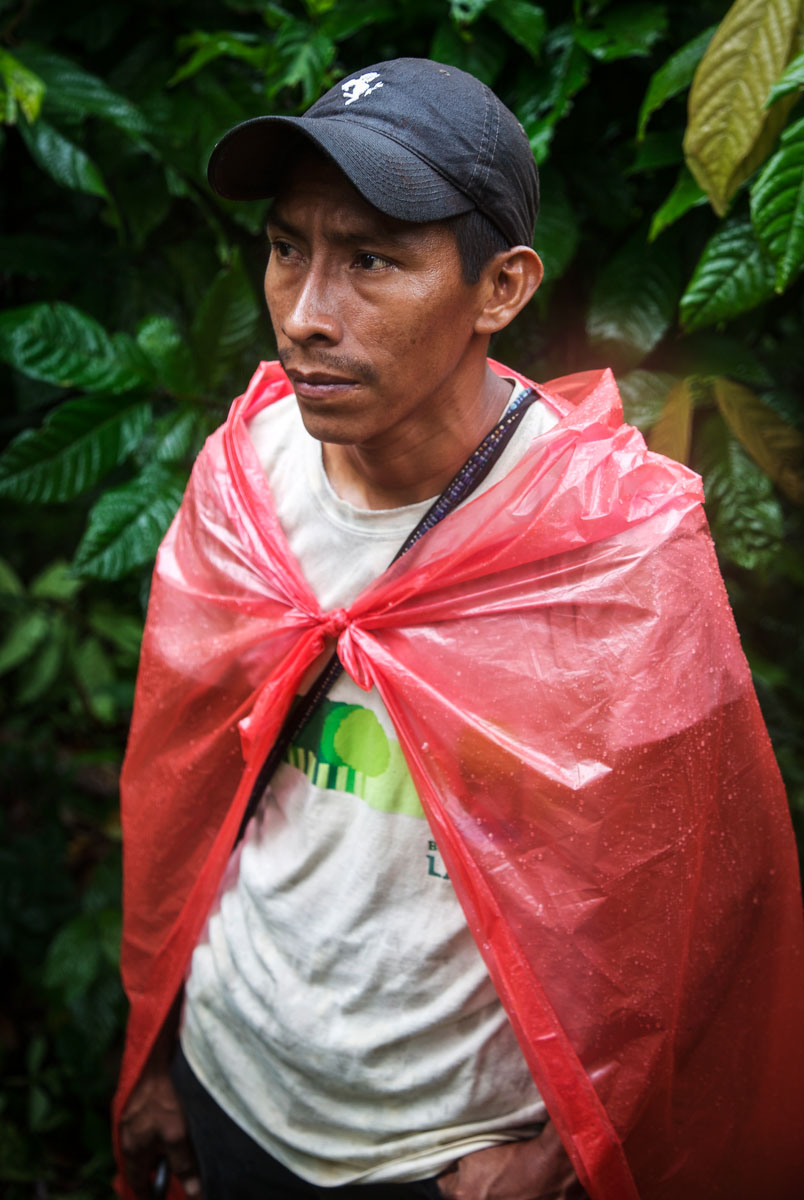 cacao-sourcing-parliament-chocolate-4