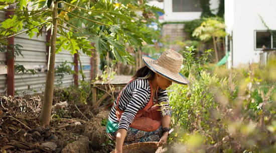 Fostering Virtue at Pun Pun Farm