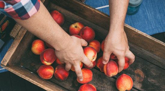 The Peach Truck: Romancing the Stone Fruit