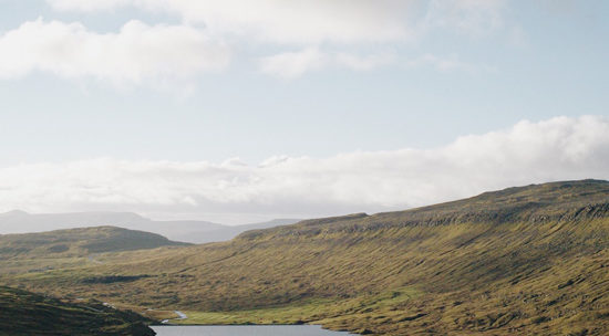 Foraging in the Faroe Islands