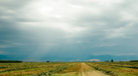 The California Drought: Chapter Three