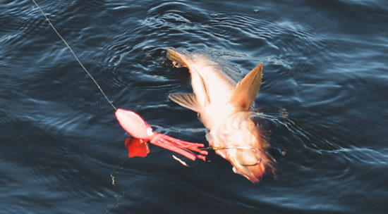 Fishing in Alaskan Waters