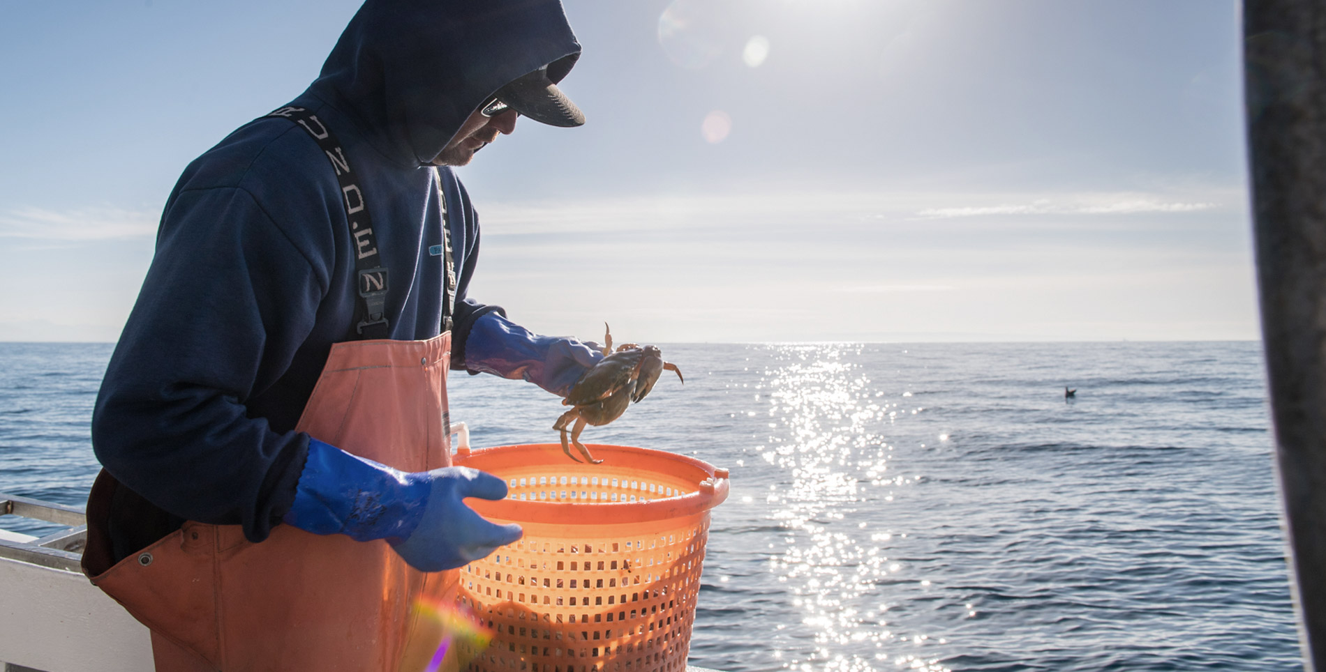 Chef Jason McLeod’s Commitment to San Diego Seafood