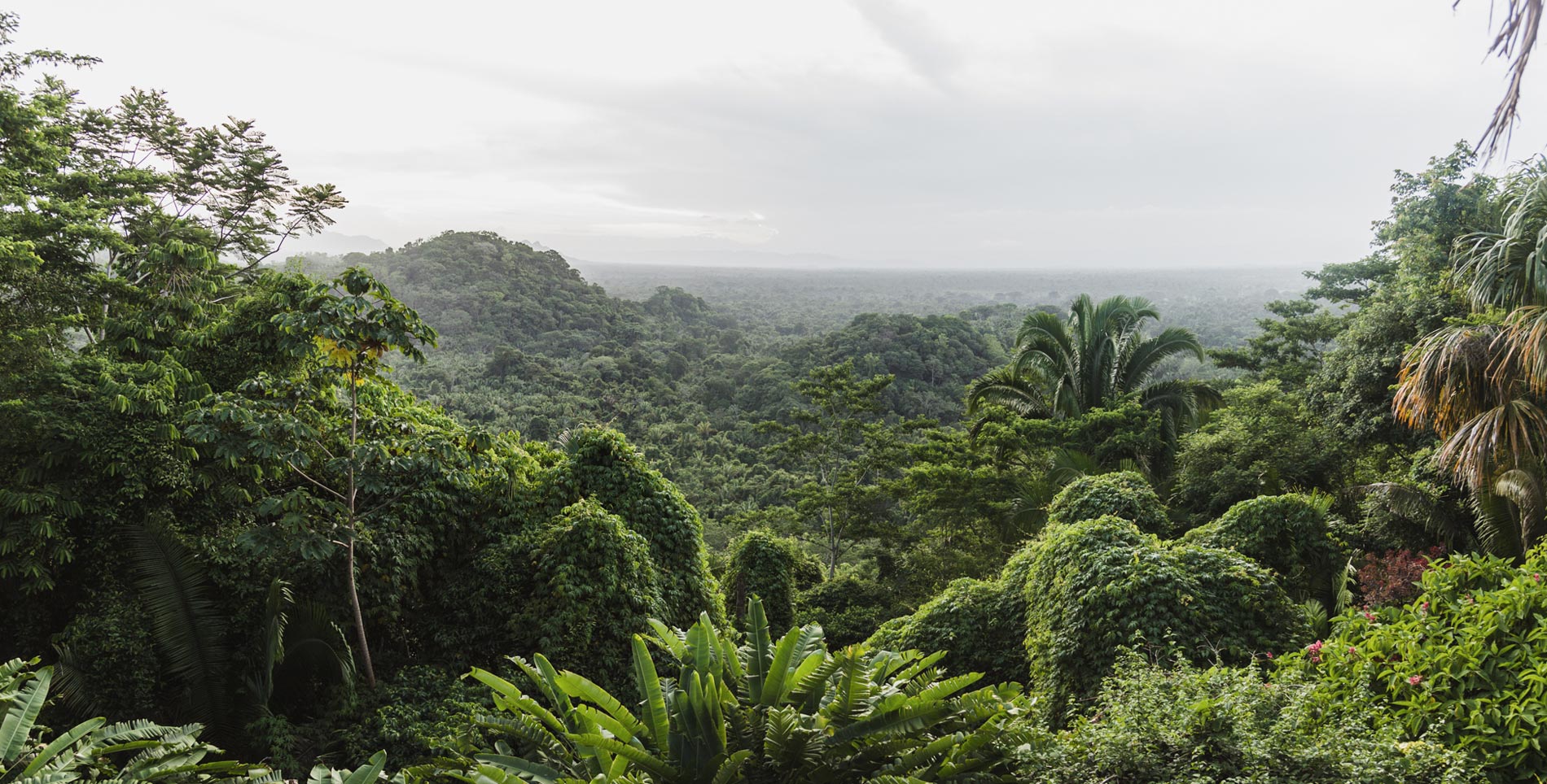 Belize’s Copal Tree Distillery Puts Soul into Spirits