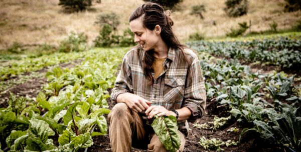 A Farm-to-Fine-Dining Partnership in the Bay Area