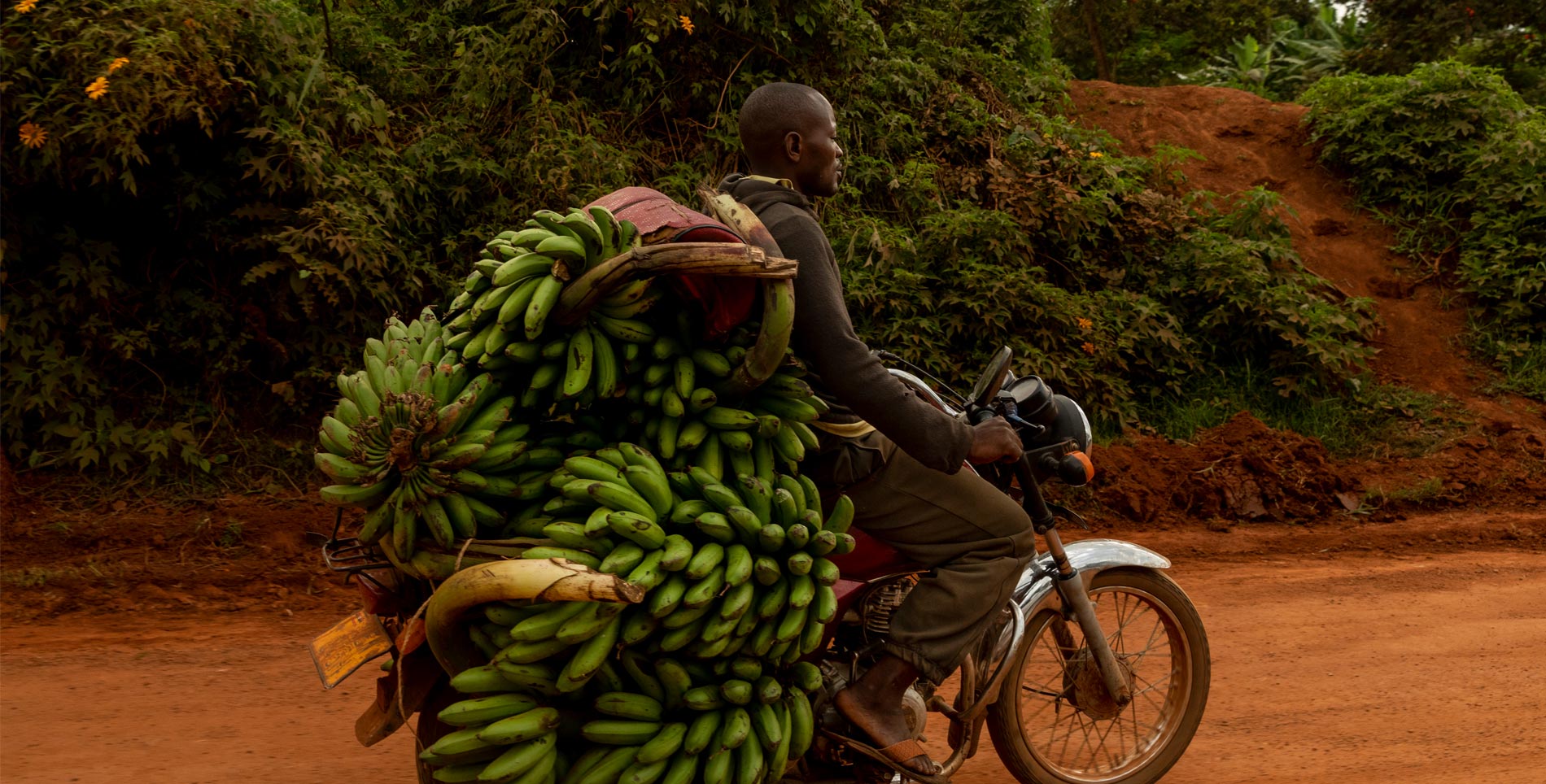 How Recovering African Crops Could Address Lost Cuisine