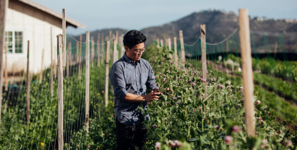 Girl & Dug Farm: A Model for a More Diverse Food System